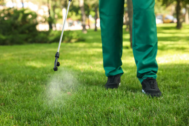 Best Pest Prevention Services  in Weatherly, PA