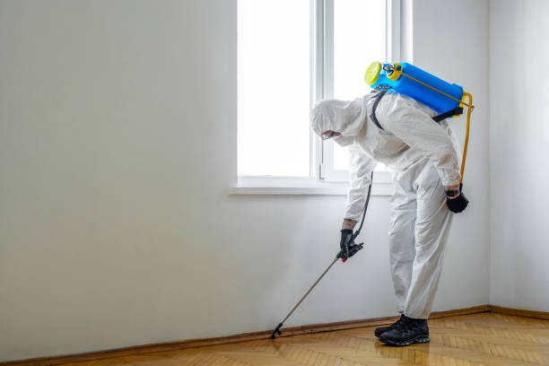 Best Pest Control Near Me  in Weatherly, PA